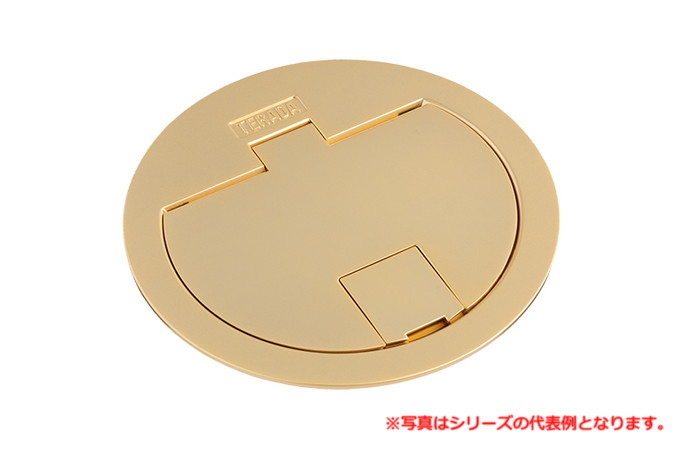 寺田電機製作所 LWY800GD ﾌﾟﾗｸﾞ収納 P\u003d89 通線ﾌﾟﾚｰﾄ+器具 ﾌﾟﾚｰﾄ（ｺﾞｰﾙﾄﾞ） TERADA