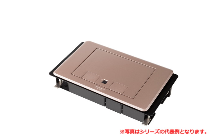 寺田電機製作所 SRR101CG ﾎﾞｯｸｽ+ﾌﾟﾚｰﾄ（ｼｬﾝﾊﾟﾝｺﾞｰﾙﾄﾞ） TERADA