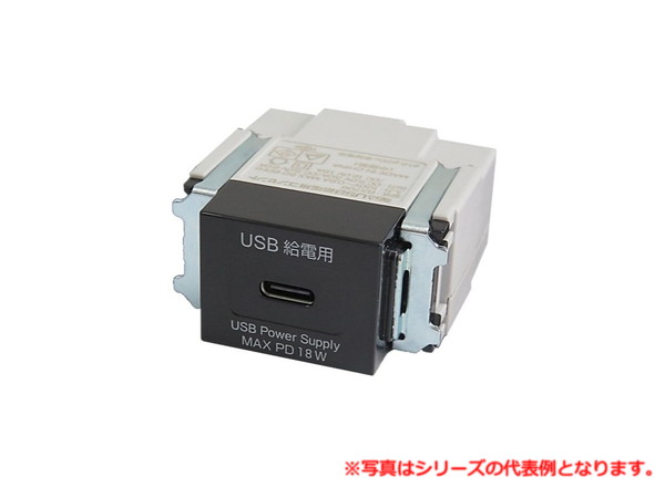 寺田電機製造所 USB-R3706BK 埋込USB給電用ｺﾝｾﾝﾄ（Type-Cﾀｲﾌﾟ）（ﾌﾞﾗｯｸ） TERADA