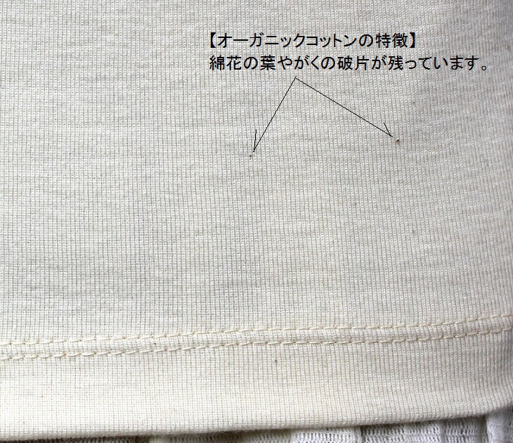 綿カス