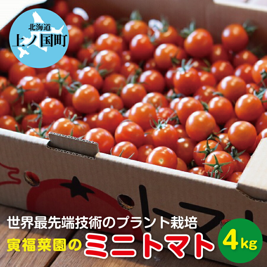北海道 上ノ国町産 寅福菜園 ミニトマト 4kg 新鮮 直送 プラントハウス 完熟 リコピン トマト とまと
