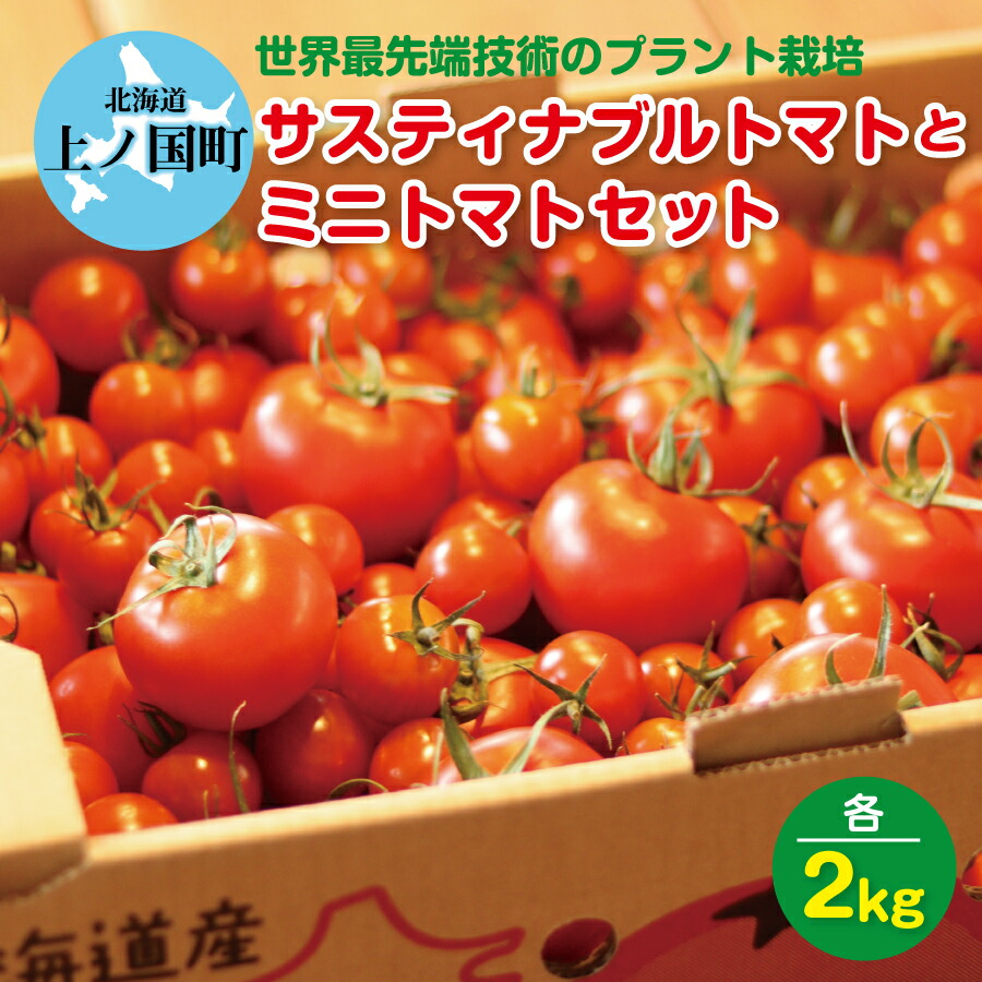 北海道 上ノ国町産 寅福菜園 サステナブルトマト＆ミニトマトセット 各2kg 新鮮 直送 プラントハウス 完熟 リコピン トマト とまと サステナブルトマト ミニトマト