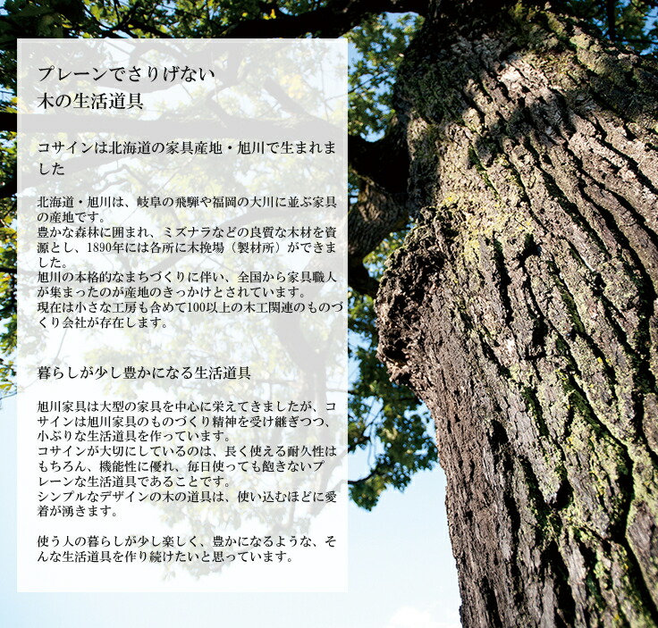 注目のブランド cosine コサイン 靴べら Lサイズ fucoa.cl