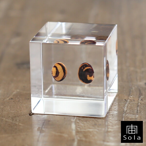 楽天市場】Cavallini & Co クリスマスマスキングテープセット fog