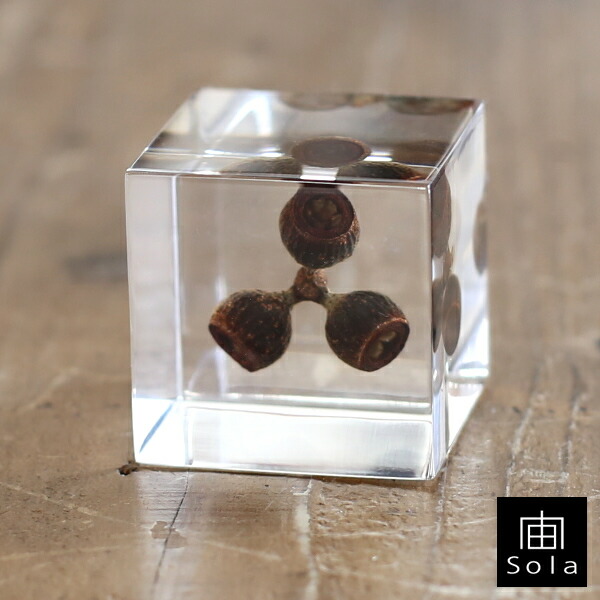 CAVALLINI ＆ CO. カヴァリーニ カバリーニ マスキングテープ ７点 CAVALLINI ＆ CO. カヴァリーニ カバリーニ マスキングテープ 7