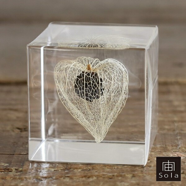 楽天市場】Cavallini & Co クリスマスマスキングテープセット fog