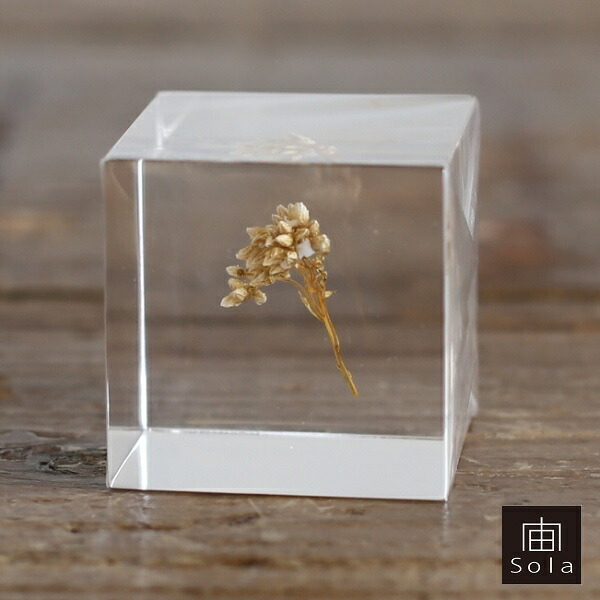 楽天市場】【送料無料】宙-sola- ソラ Sola cube 9個用木箱