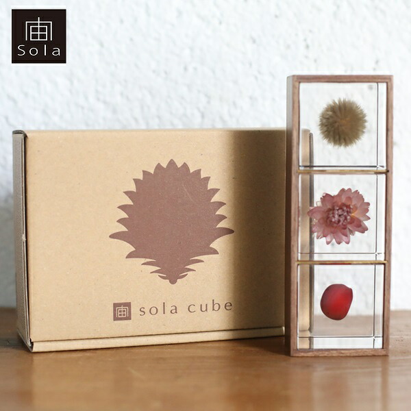 【送料無料】宙-sola- ソラ 3個セット（木箱付き） Bセット カイガラソウ・ワイルーロ・ルリタマアザミ
