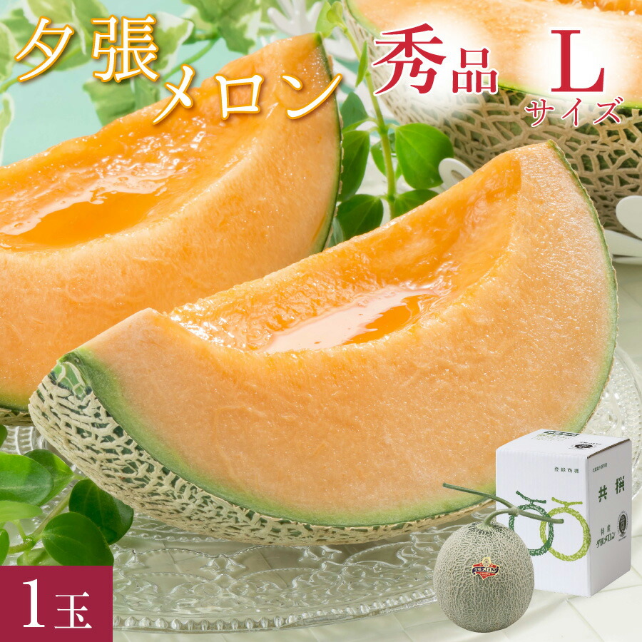 【300円OFFクーポン配布中！】夕張メロン 秀品 Lサイズ(約1.3kg) 1玉 共撰 <br>夕張農協 合格品 共撰 秀品 夕張メロン 1個 <br><br>お中元 高級 メロン 北海道 夕張 ゆうばり JA夕張 夏 ギフト 中元 御中元 贈り物 共選 【送料無料】