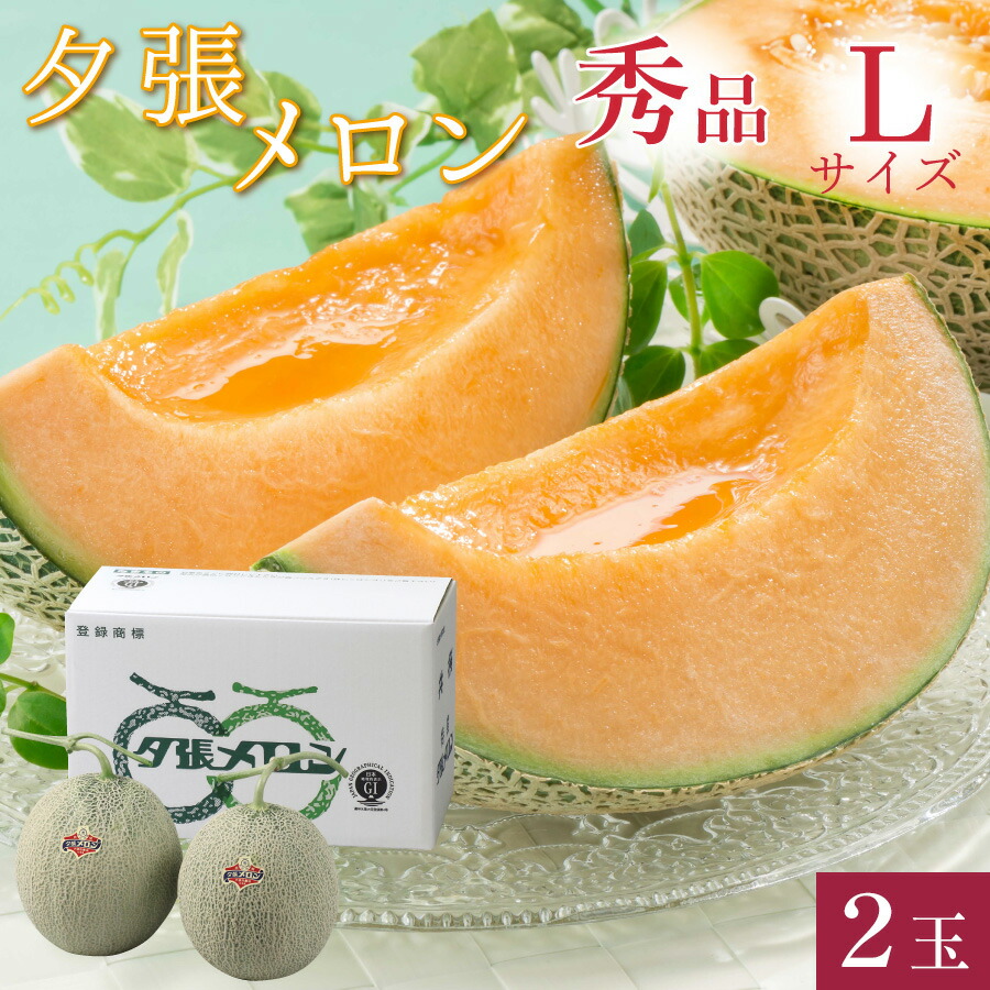 【300円OFFクーポン配布中！】夕張メロン 秀品 Lサイズ(約1.3kg) 2玉 共撰 <br>夕張農協 合格品 共撰 秀品 夕張メロン <br><br>お中元 高級 メロン 北海道 夕張 ゆうばり JA夕張 夏 ギフト 御中元 秀 贈り物 【送料無料】
