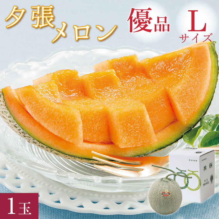 【300円OFFクーポン配布中！】夕張メロン 優品 Lサイズ(約1.3kg) 1玉 共撰 <br>夕張農協 合格品 共撰 優品 夕張メロン <br><br>お中元 早割 メロン 北海道 夕張 ゆうばり 共選 夏 ギフト 中元 御中元 贈り物 【送料無料】