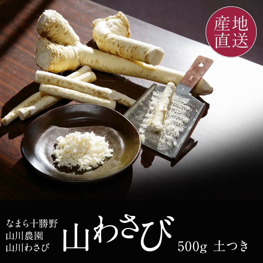 楽天市場 山わさび 北海道産 西洋わさび 500g 極上の風味を味わう 生の山わさび 農家集団 なまら十勝野 山川農園 生 西洋わさび ホースラディッシュ 送料無料 北海道の美食逸品 イランカラプテ