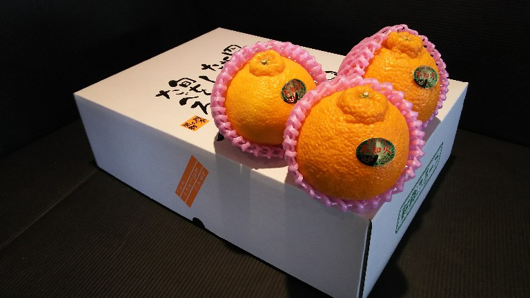 送料無料 熊本県産 不知火 しらぬい （肥の豊）2Lサイズ10玉入　約3ｋｇ