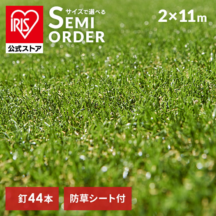 人工芝 ロール 1mx20m リアル感 芝丈30mm フレッシュグリーン Amazon | 人工芝 ロール 1mx20m リアル感 芝丈30mm 高耐久 透水タイプ