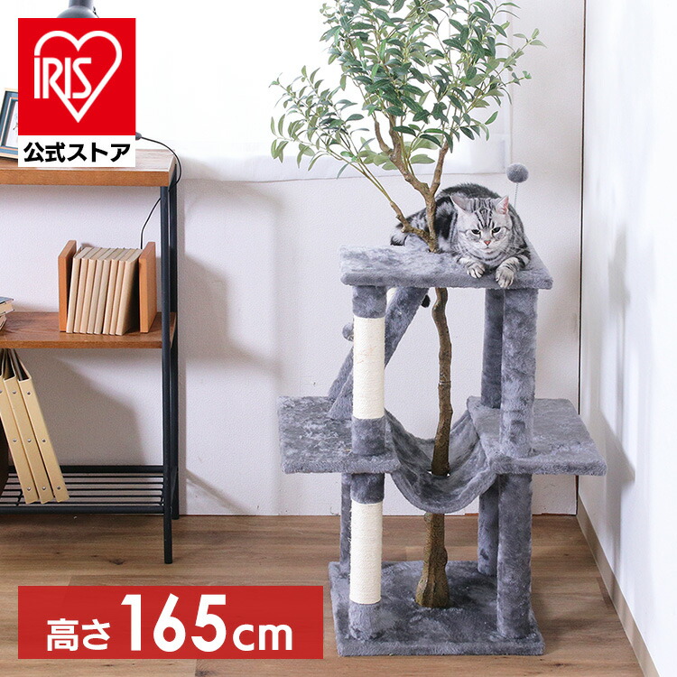 楽天市場】キャットタワー 突っ張り おしゃれ CCCT-4060T アイリス