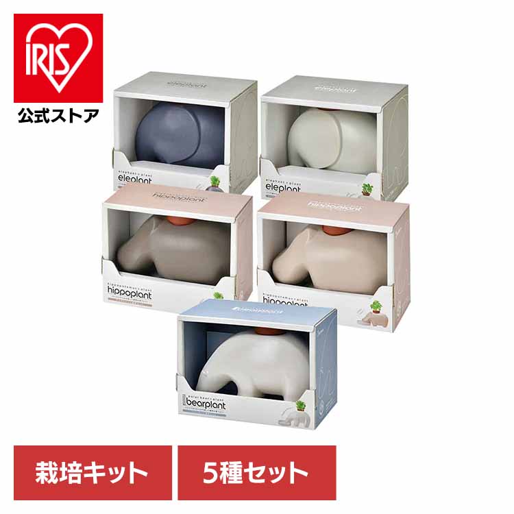 夏物寝具