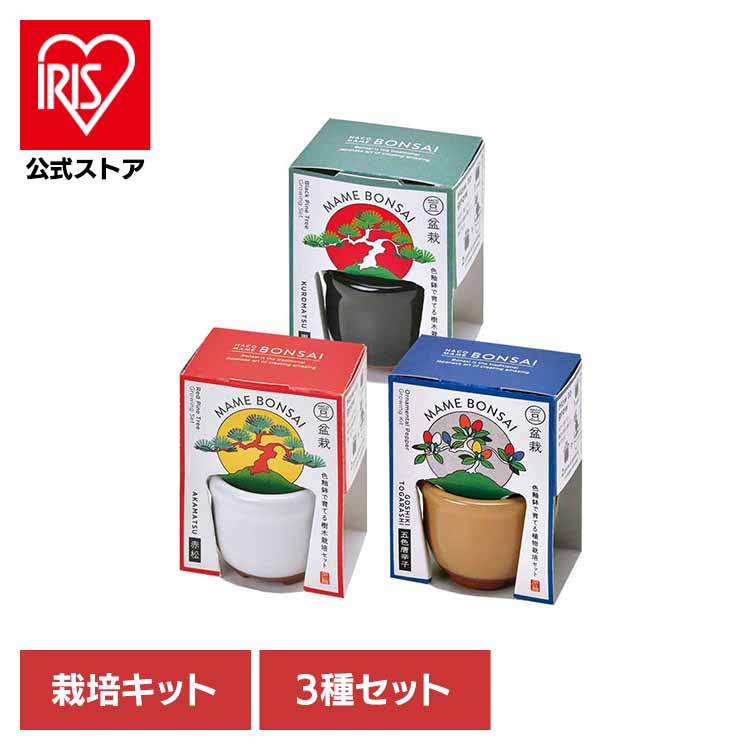まめ 鉱物セット 瀬戸焼職人たちの手仕事］陶器製の地球で大豆を育て、世界の食糧問題を