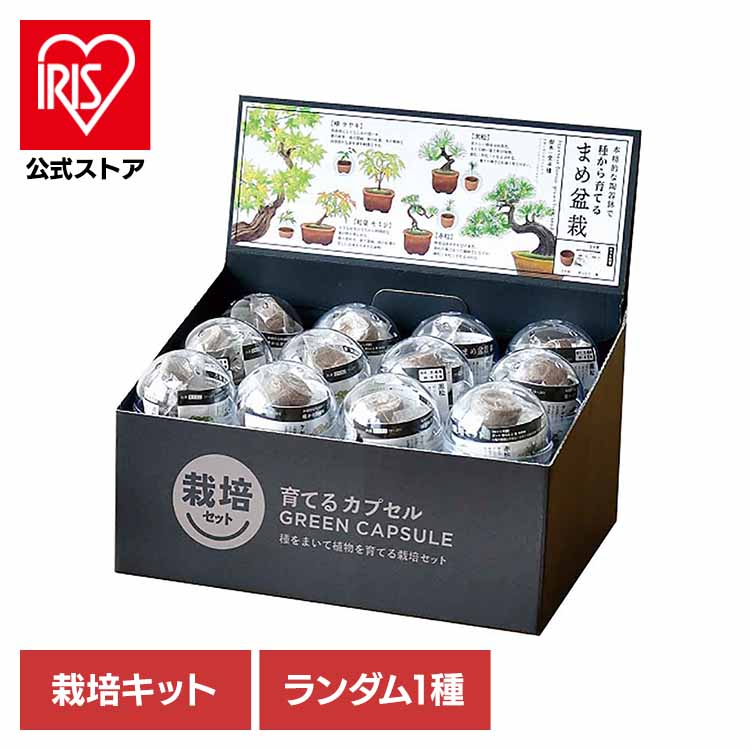 楽天市場】【4個セット】育てるカプセル まめ盆栽 栽培キット 栽培