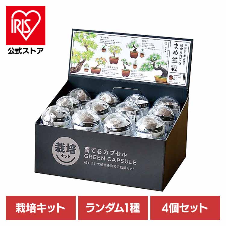 畑芽育 グッズ セット 楽天市場】[最大2,000円OFFクーポン] 【4個セット】育てる