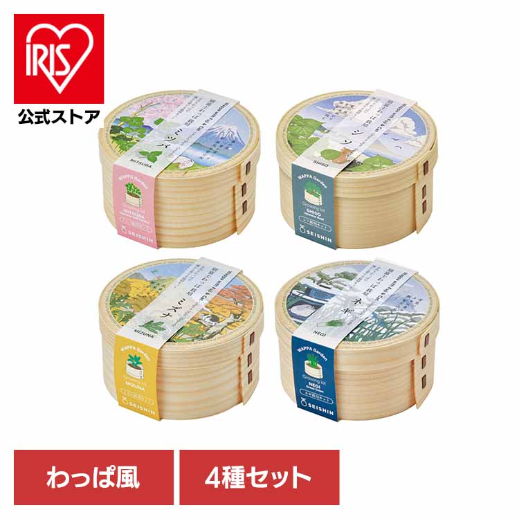 [ｴﾝﾄﾘｰでﾎﾟｲﾝﾄ最大10倍/ｽﾀﾝﾌﾟﾗﾘｰ]【4種セット】猫富士わっぱ 栽培キット 栽培セット 三つ葉 しそ 水菜 ネギ 葱 聖新陶芸