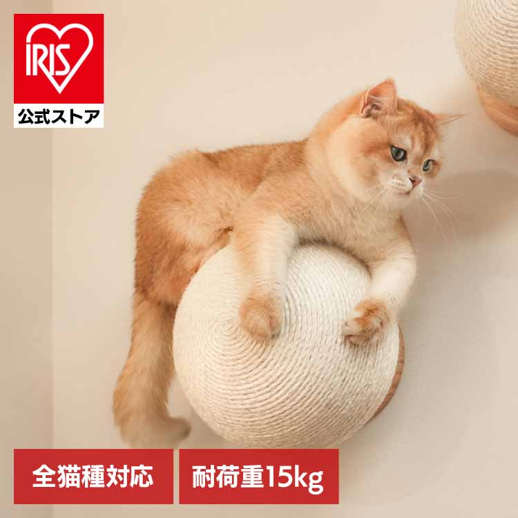 [ｴﾝﾄﾘｰでﾎﾟｲﾝﾄ最大10倍/ｽﾀﾝﾌﾟﾗﾘｰ]CATURN N25 キャターン爪研ぎボール MZ0002 キャットウォーク キャットステップ 猫用品 ペット用品 猫家具 爪研ぎ 壁掛け ペット共生 猫部屋 賃貸おすすめ 長彩株式会社 【B】