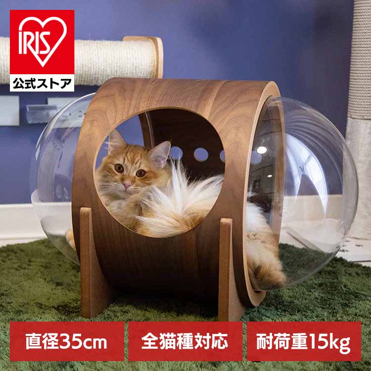 宇宙船ALPHA(ウォールナット) MZ0079 キャットウォーク キャットステップ 猫用品 ペット用品 猫家具 猫ベッド 壁掛け ペット共生 猫部屋 賃貸おすすめ 長彩株式会社 【B】