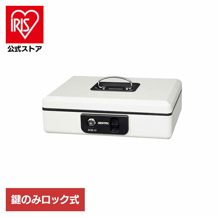 [ｴﾝﾄﾘｰでﾎﾟｲﾝﾄ最大10倍/ｽﾀﾝﾌﾟﾗﾘｰ]キャッシュボックス ライトグレー SCB-12 金庫 手提げ金庫 鍵式 防犯 マスターロックセントリー日本株式会社