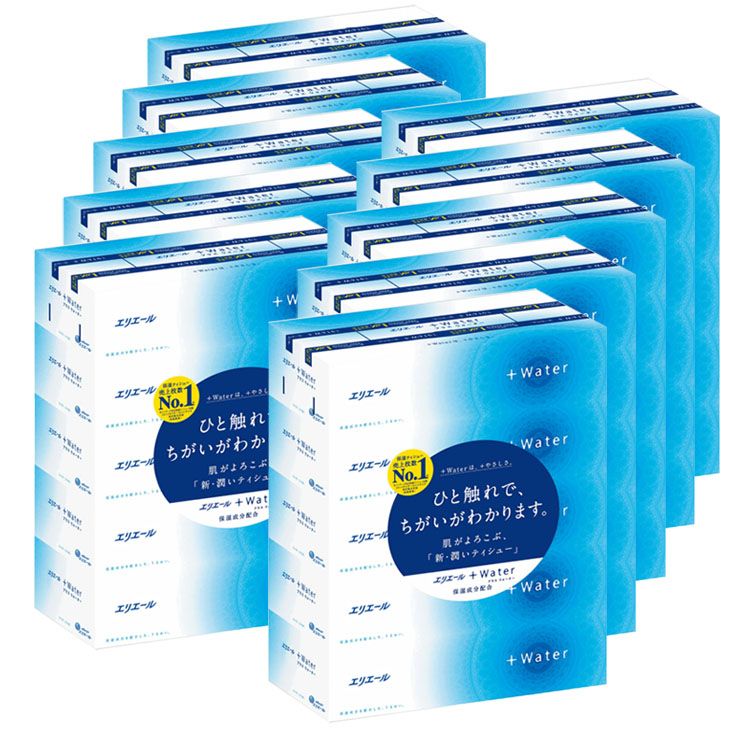 �G���G�[�� �e�B�b�V��<br>�y5�p�b�N�~10�z