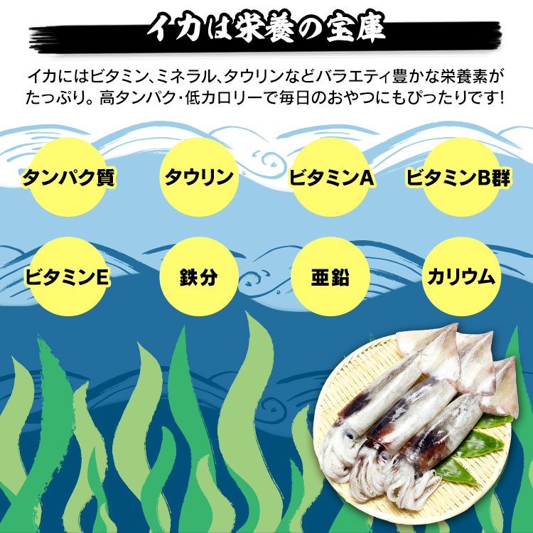 楽天市場 いかソーメン 260g 送料無料 送料無料 いか イカソーメン するめソーメン おやつ 珍味 やみつき おつまみ 家飲み ダイエット 噛む オーシャン フォレスト D メール便 食cp アイリスプラザ 楽天市場店