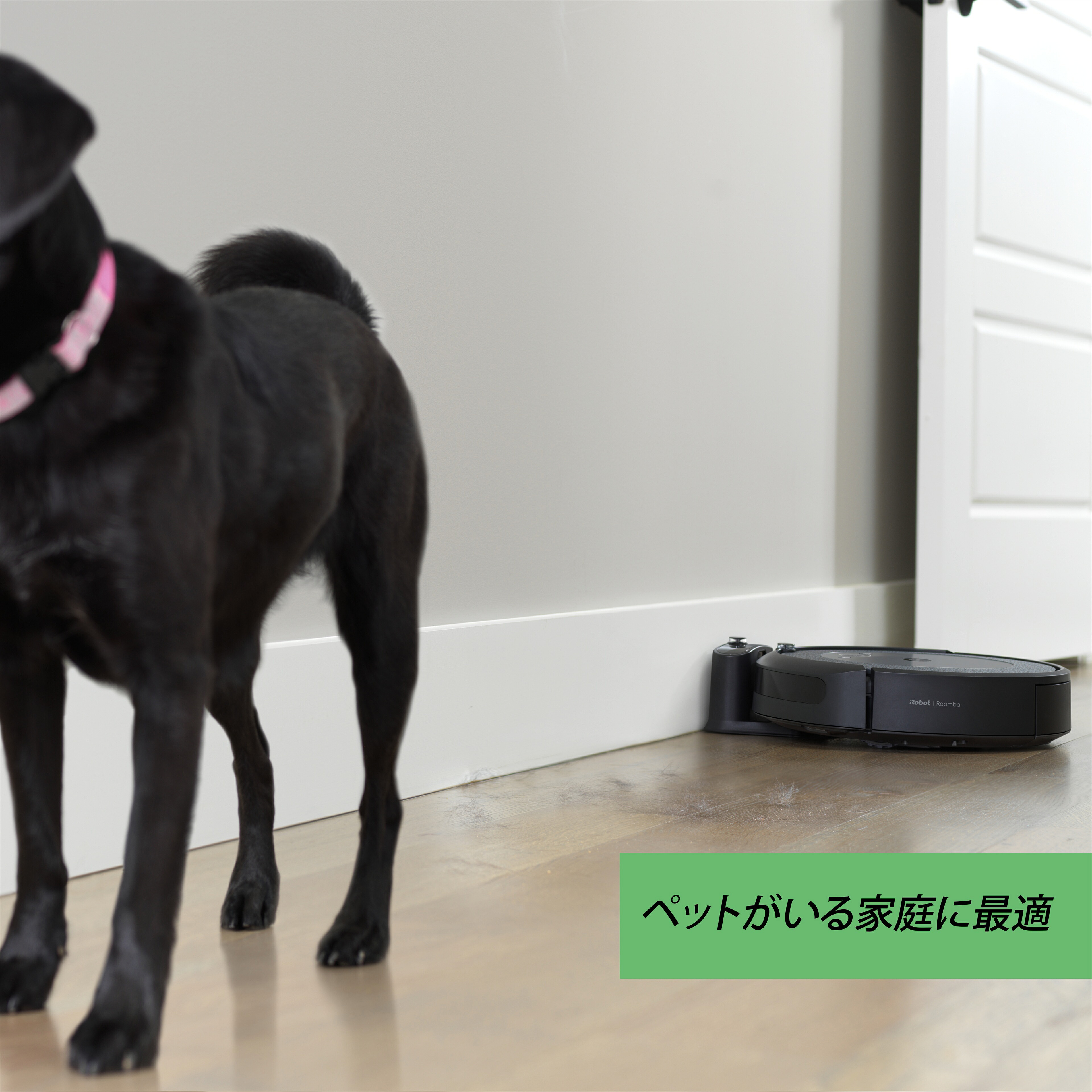 ルンバ I3 アイロボット ロボット掃除機 掃除機 薄型 Irobot 日本 アプリ 花以外 実用的 送料無料 クリーナー ギフト 正規品 延長保証 プレゼント Wifi お掃除ロボット 掃除ロボット メーカー保証 公式