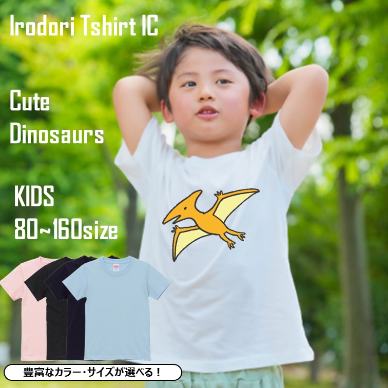 楽天市場】かわいい恐竜tシャツ 【パキケファロサウルス】 キッズ