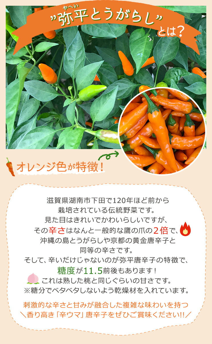 楽天市場 受賞多数 Nhkあさイチで紹介 セットでお得 リピーター急増中 激辛 辛ウマ 辛い 弥平とうがらし 一味と乾燥唐辛子セット 国産 とうがらし 調味料 スパイス 薬味 香辛料 滋賀県湖南市産 メール便 Irodori Plus 楽天市場店
