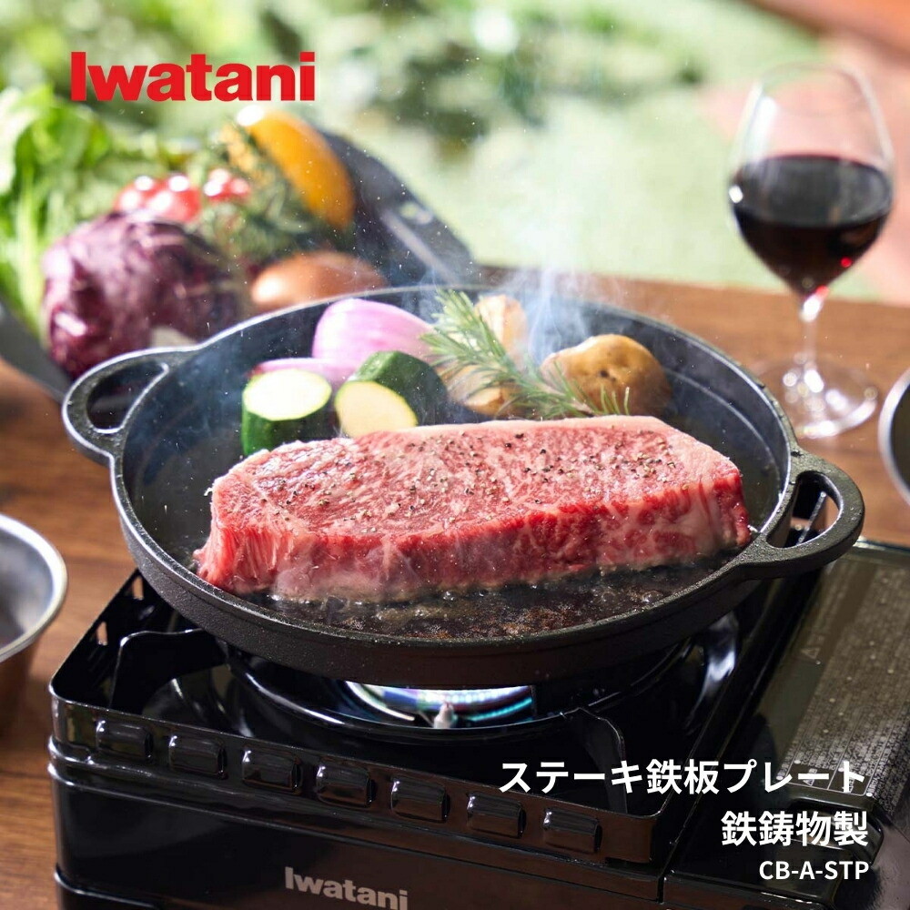鋳鉄製グリルプレート　ステーキ鉄板　９枚セット 21010550.jpg