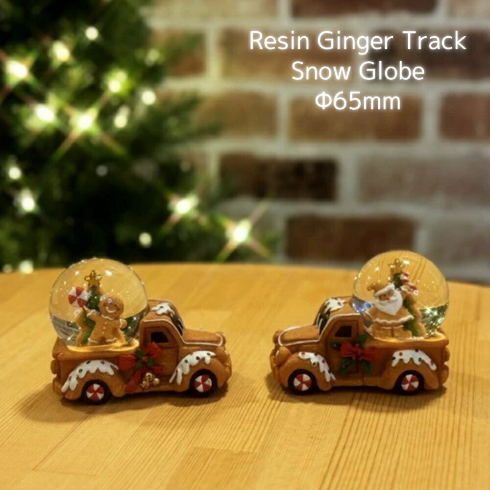 楽天市場】南貿易 Φ45mmレジンジンジャートラックスノードーム QE44951