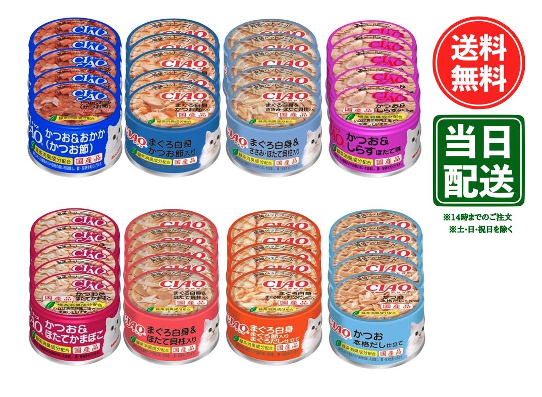 楽天市場】猫 缶 キャットフード お試し 全種 (銀のスプーン 缶, CIAO