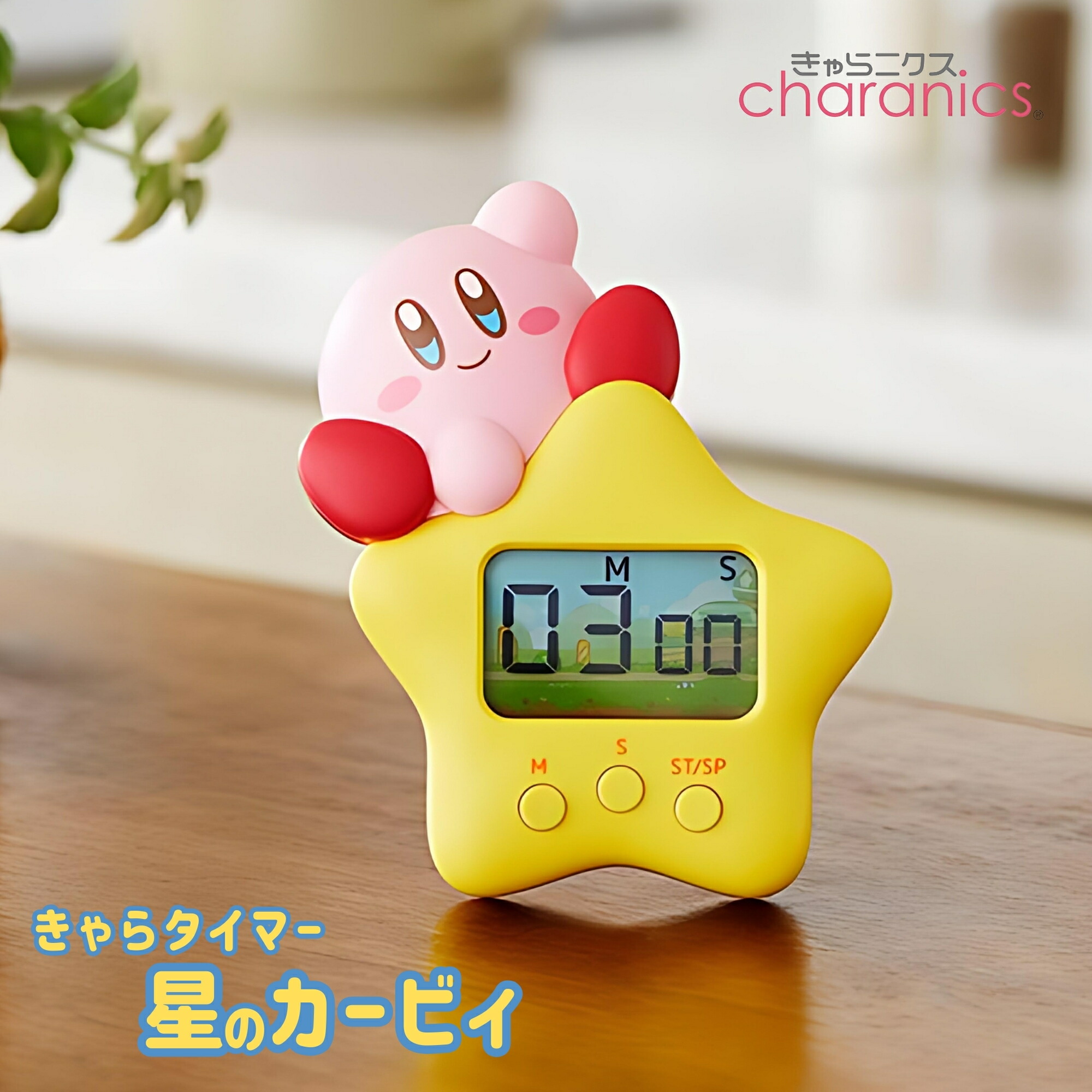 レア＊ラガディアン＊ナイトタイマー 20910052.jpg