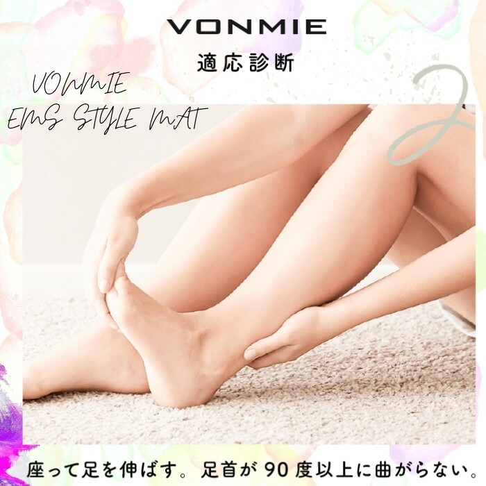 市場 ストライプアンドビルド USB充電 VON001 VONMIE 美脚 スタイルマット EMS