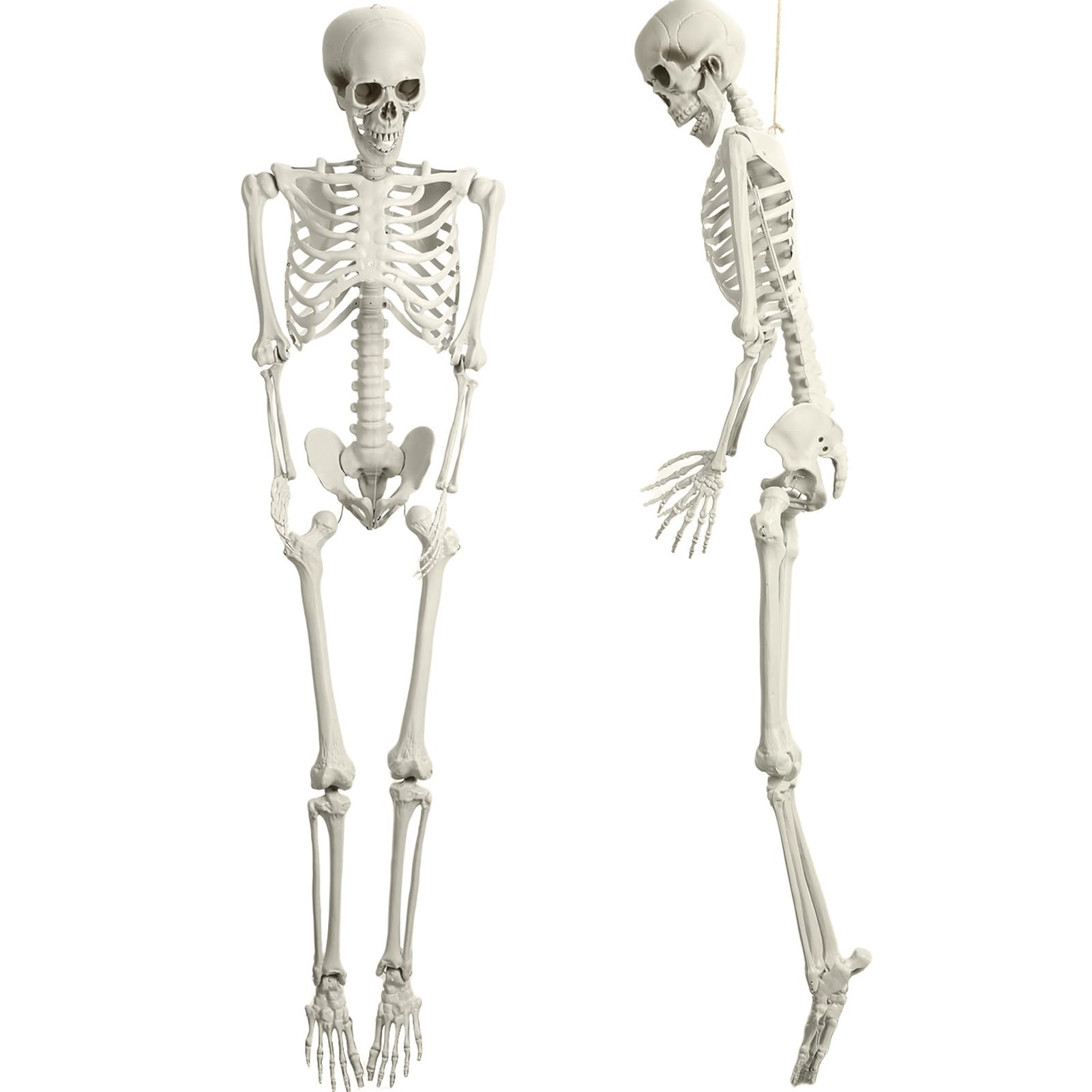 ハロウィン スケルトン 165cm 等身大 全身 可動ジョイント リアル ハンギング 小道具 パーティー デコレーション|いろどりセレクト