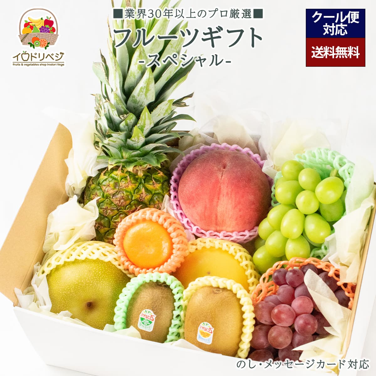 【送料無料】 フルーツギフト 6～9個入り 季節の果物 詰め合わせ「厳選」【レビュー 特典】贈り物  ギフト プレゼント ありがとう お祝い 内祝い 結婚 誕生日 夏 父の日 お中元 御中元 暑中見舞