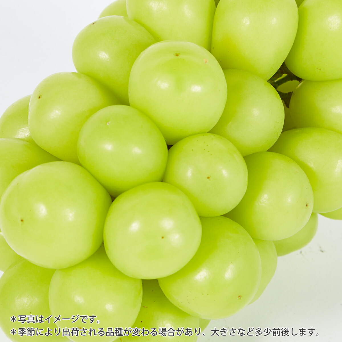 厳選 こだわりブランドシャインマスカット 4個硬化 晴キング 付届け 贈物 持たす気韻 Marchesoni Com Br