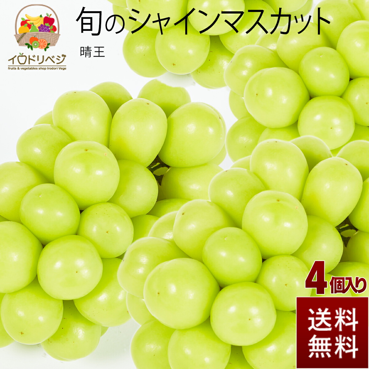 厳選 こだわりブランドシャインマスカット 4個硬化 晴キング 付届け 贈物 持たす気韻 Marchesoni Com Br