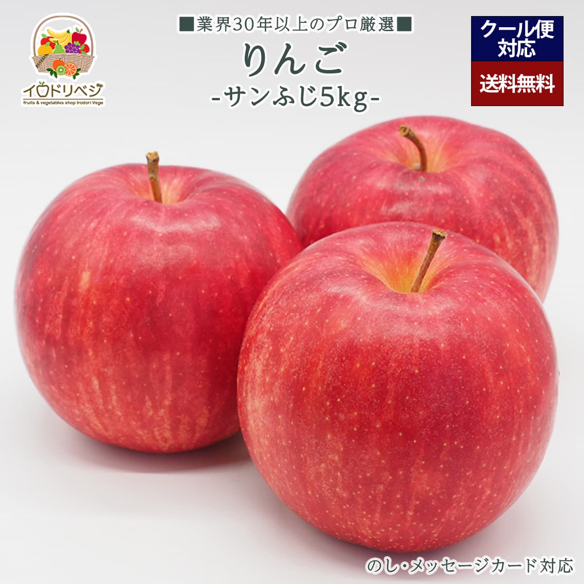 【予約受付中】「厳選」こだわりブランド リンゴ 5kgセット 12～20個入り ★サンフジ★【レビュー 特典】贈り物  ギフト プレゼント ありがとう お祝い 内祝い 結婚 誕生日 景品 季節 旬 果物 フルーツ りんご おしゃれ