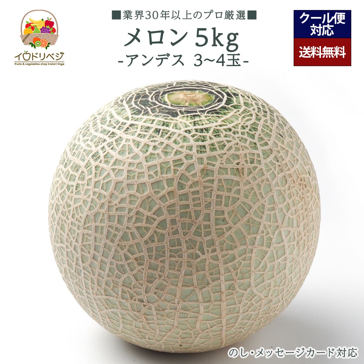 【今期 予約受付中】「厳選」こだわりブランド メロン 5kg 3～4玉セット ★アンデス メロン★【レビュー 特典】贈り物 ギフト プレゼント ありがとう お祝い 内祝い 結婚 誕生日