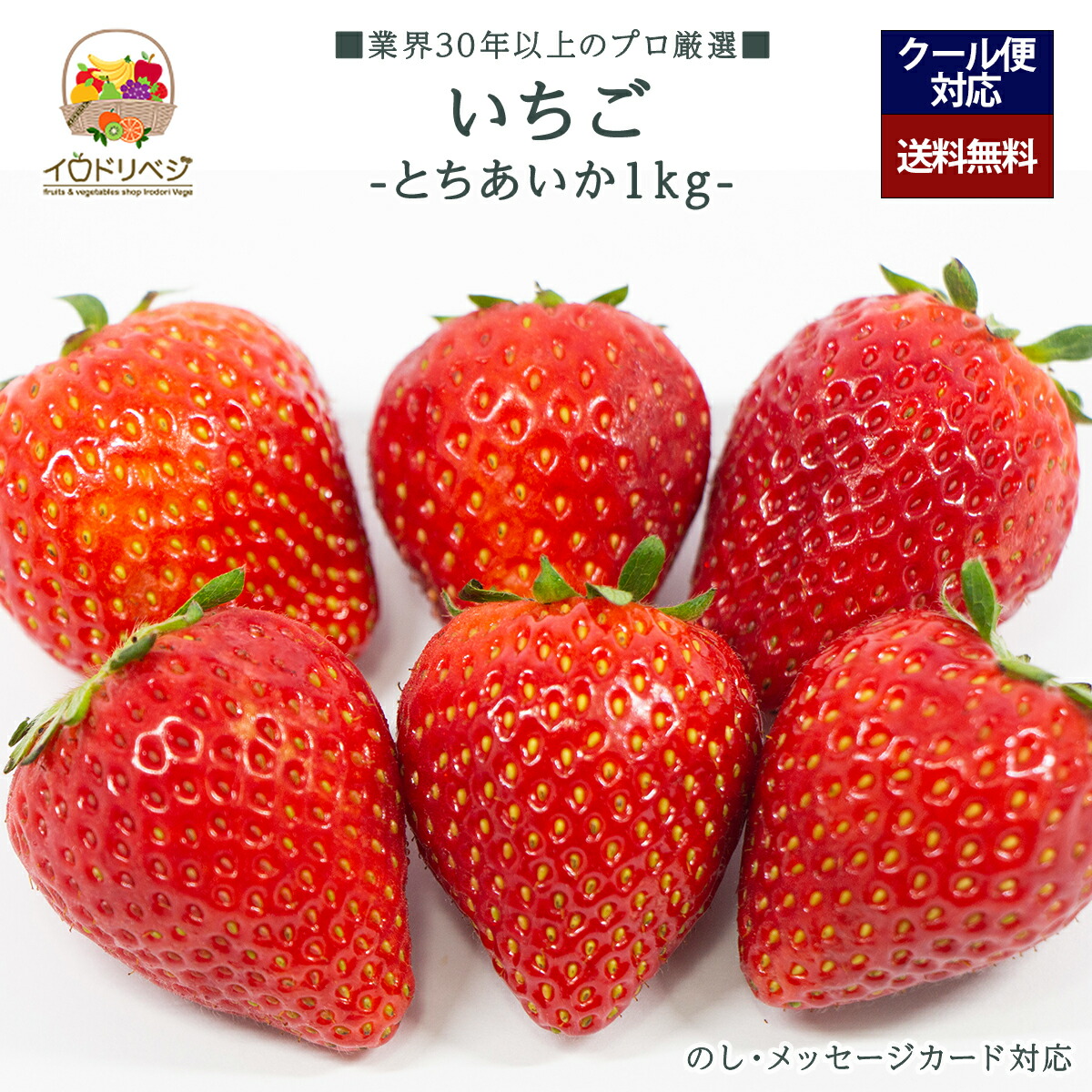 【2026年出荷予定】「厳選」こだわりイチゴ 1kgセット 48～90個前後 ★栃木県産 とちあいか★【レビュー 特典】贈り物  ギフト プレゼント ありがとう お祝い 内祝い 結婚 誕生日 景品 季節 旬 果物 フルーツ いちご おしゃれ