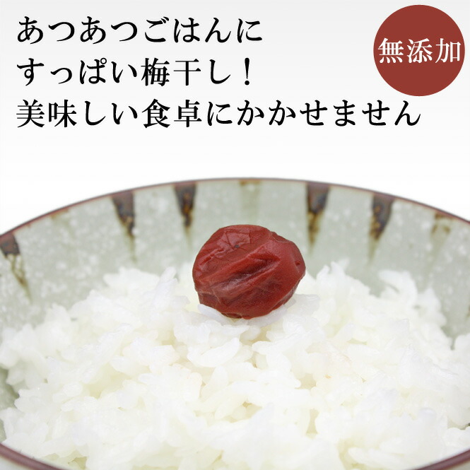 梅干し 無添加 無農薬 紀州 しそ漬小梅 1kg 熊野のご褒美 無化学肥料 梅干 ご自宅用にもお歳暮などのギフト 贈り物にもおすすめです 送料無料彩り屋 お急ぎ Highsoftsistemas Com Br