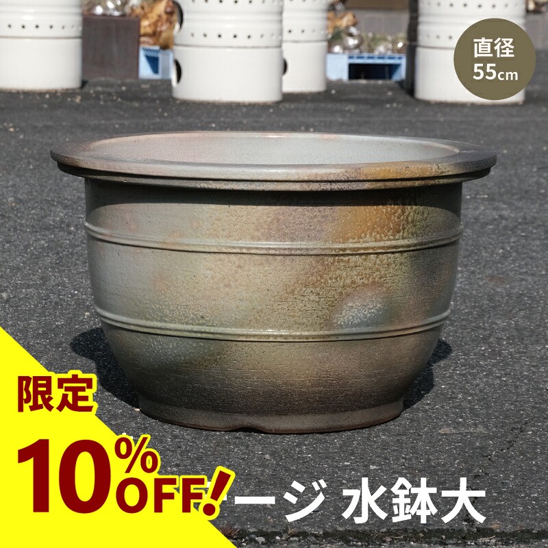 【なくなり追い追いに締めくくる！】無農薬 古城梅（ごじろうめ） 今季分まもなく締めくくるします