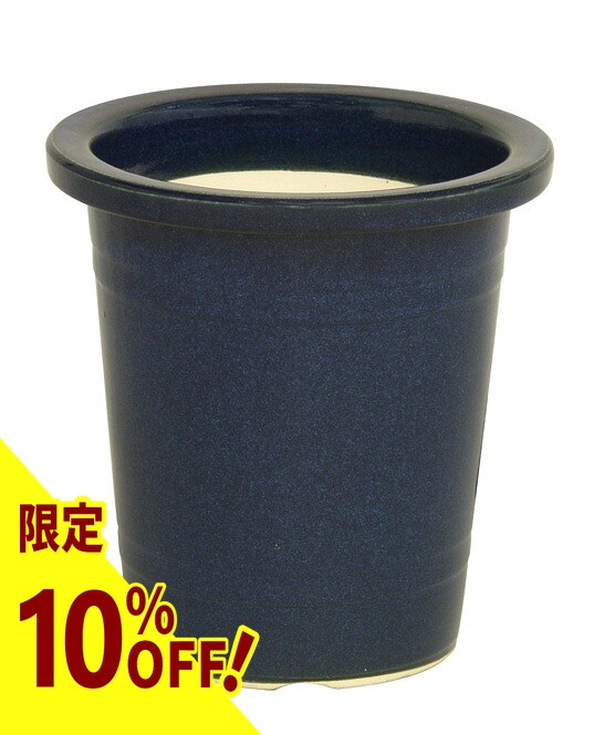 【なくなり追い追いに締めくくる！】無農薬 古城梅（ごじろうめ） 今季分まもなく締めくくるします