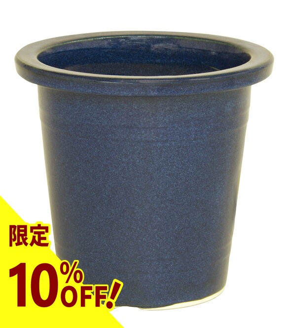【なくなり追い追いに為し終わる！】無農薬 古城梅（ごじろうめ） 今季分まもなく為し終わるします