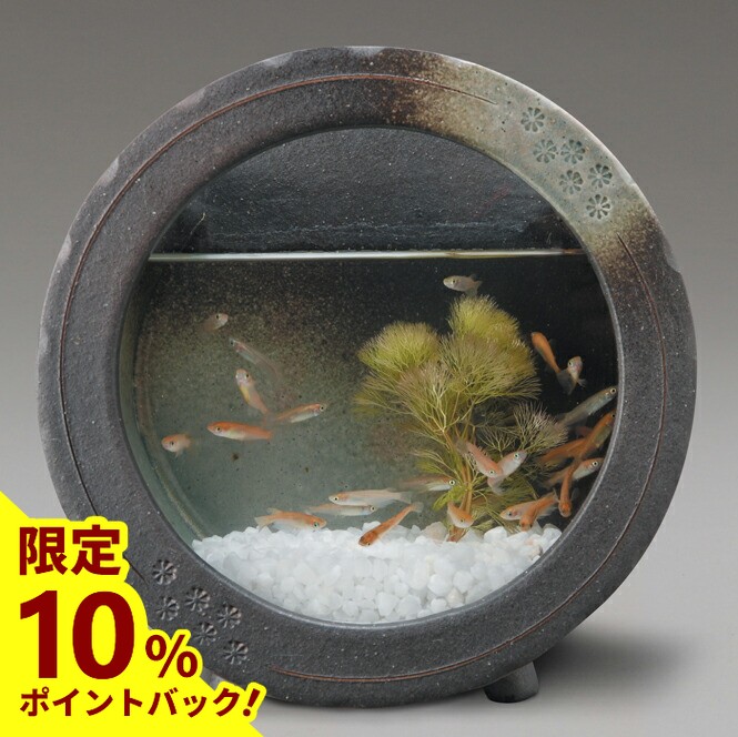 楽天市場】昭和レトロシリーズ 『金魚鉢 青 』 廣田硝子 : キッチン