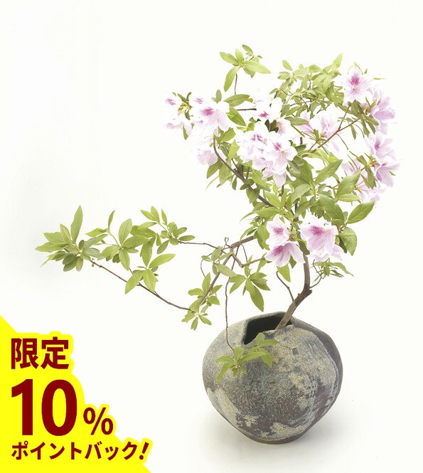 楽天市場】古陶舟形 花入 信楽焼 陶器 花器 花瓶 彩り屋 : 彩り屋